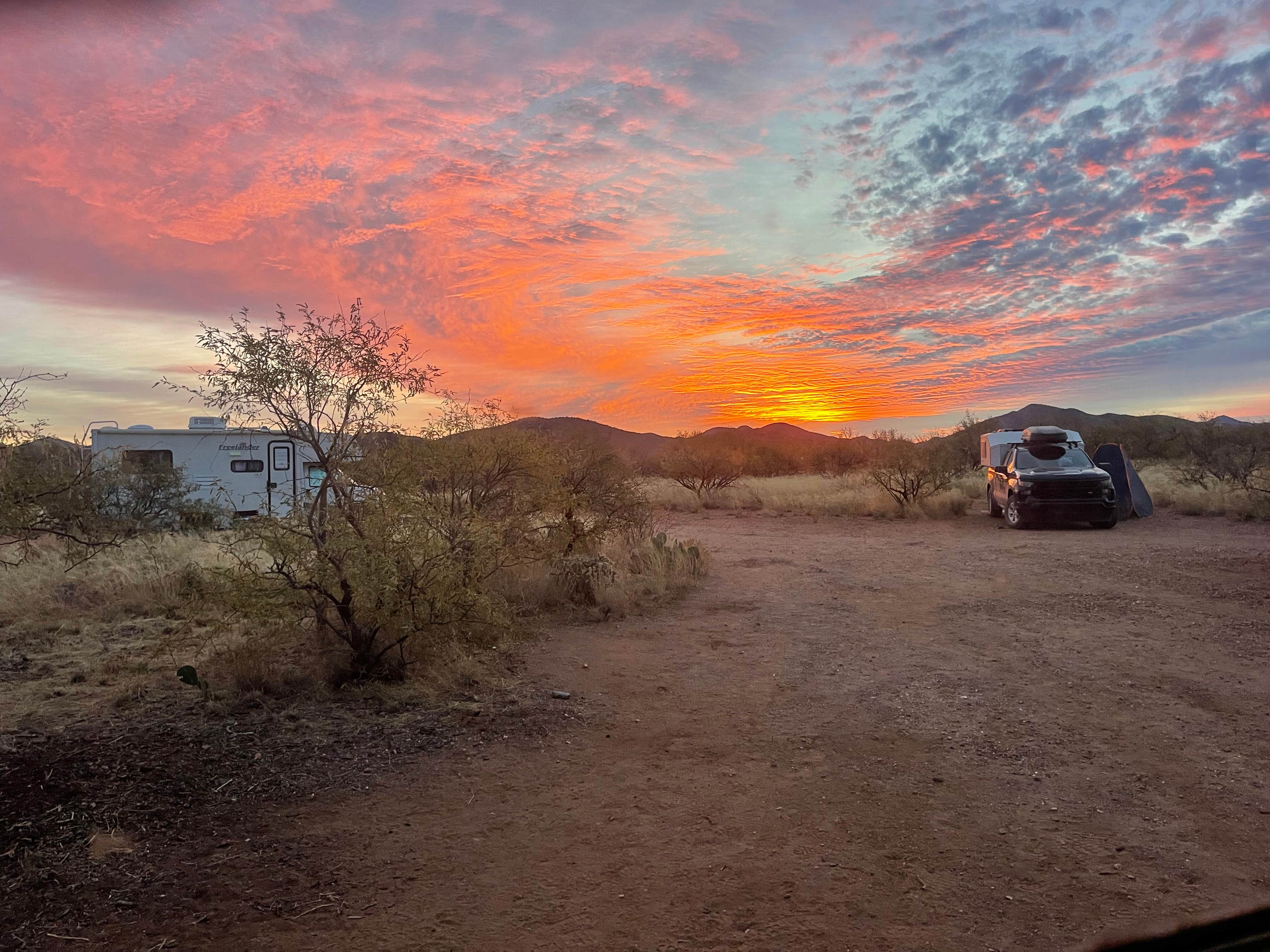 Camper submitted image from Bueno Aires National Wildlife Refuge - 5