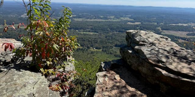 Camper submitted image from Thunder Canyon Campground RV Park