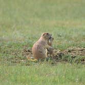 Review photo of The Wall Boondocking Dispersed by Kevin A., December 31, 2025