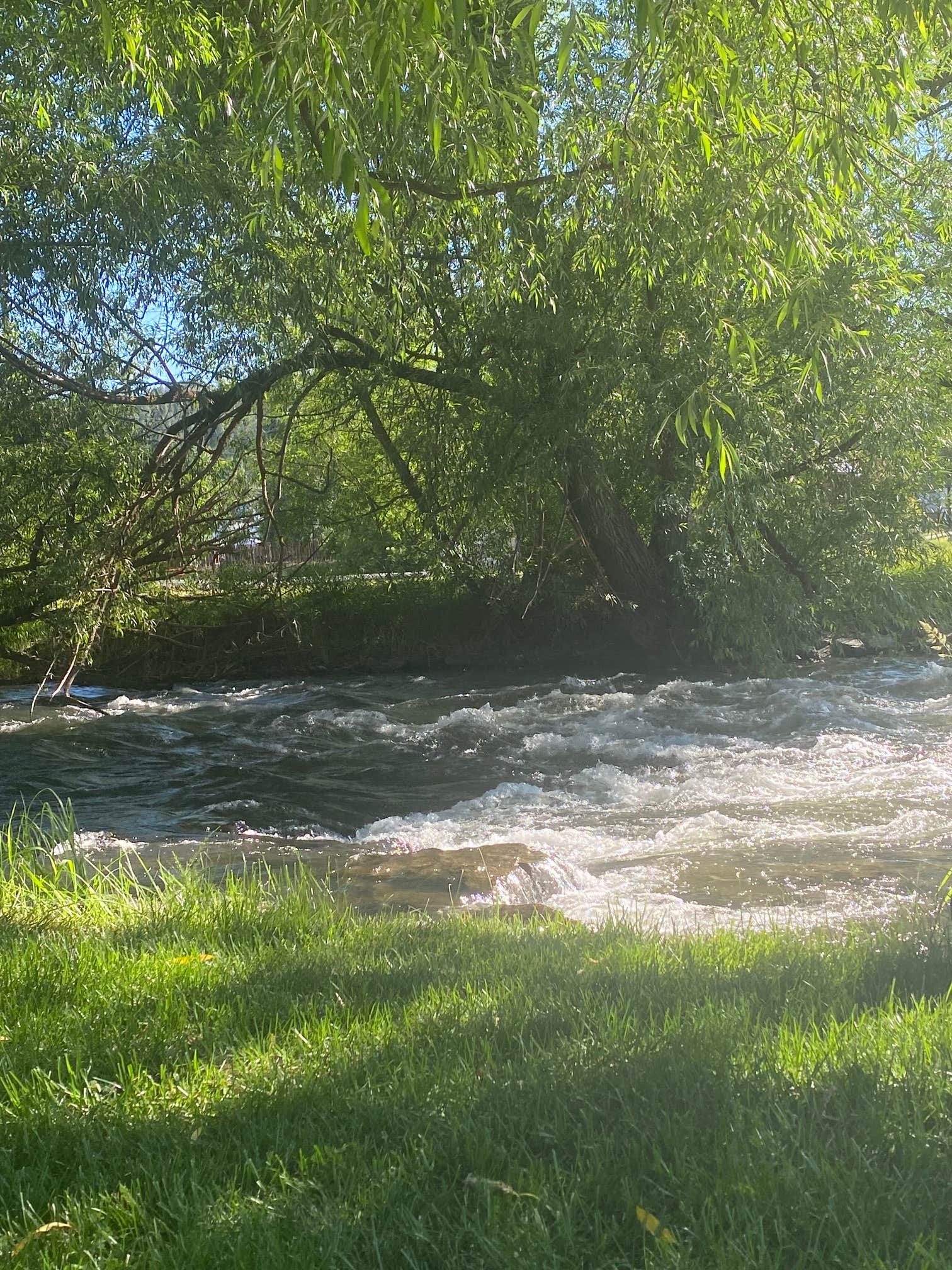 Camper-submitted photo at Wallowa River RV Park near Wallowa, OR