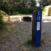 Review photo of Barview Jetty County Campground by Bjorn S., June 10, 2016