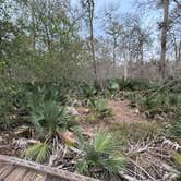 Review photo of Palmetto State Park Campground by Gary D., January 1, 2026