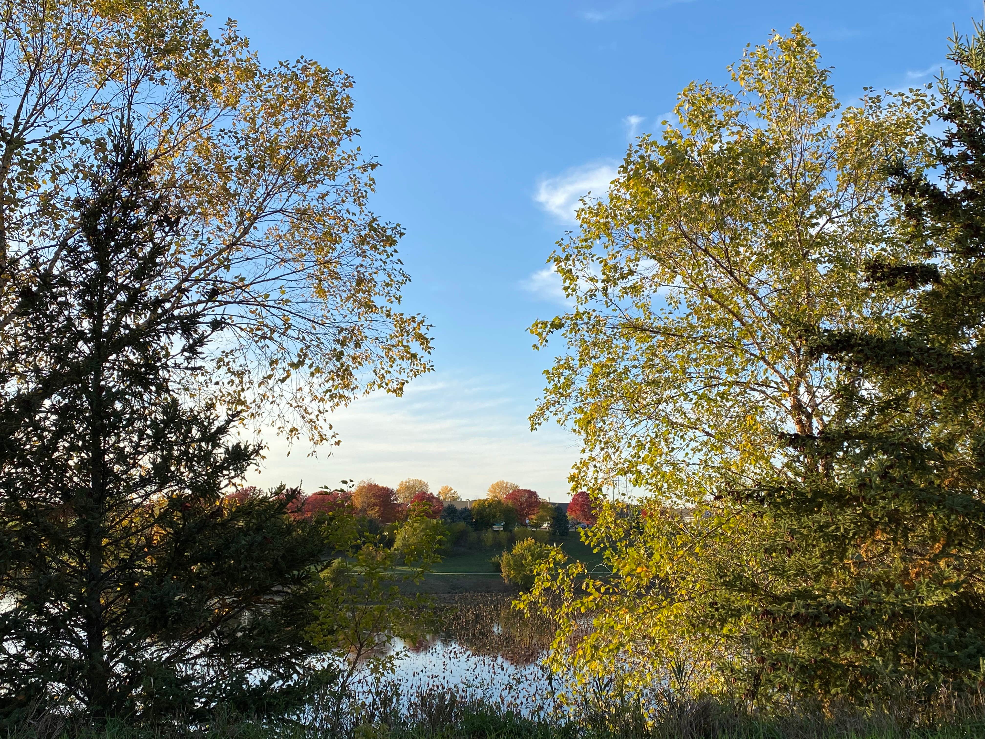 Costco — Coralville
