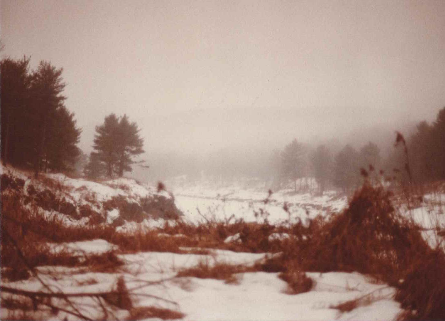 Quechee State Park Campground