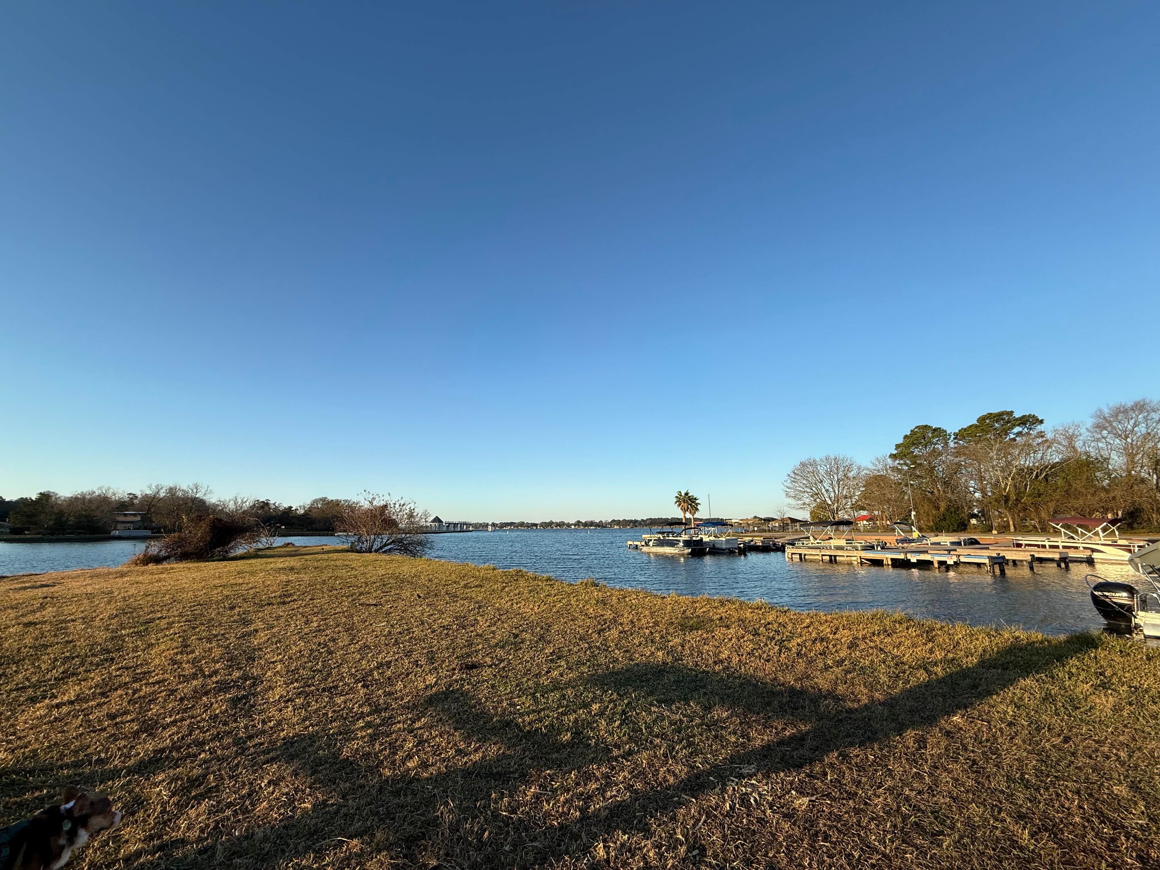 Maggie B.'s photo of camping with pets at Thousand Trails Lake Conroe near Sam Houston National Forest