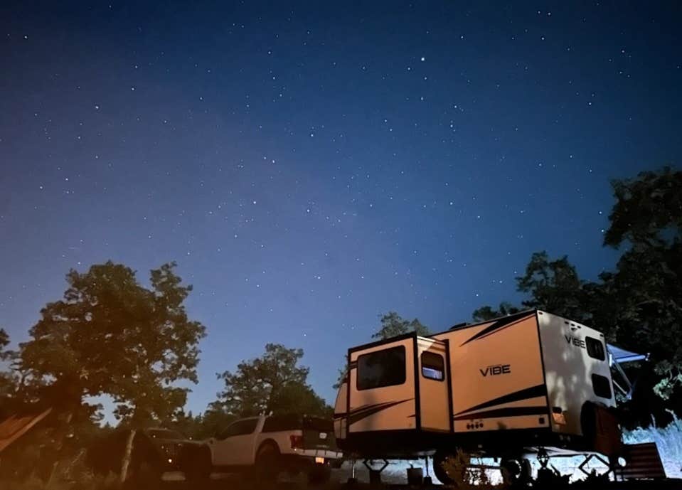 Camper submitted image from Cat's Forest Retreat - 1