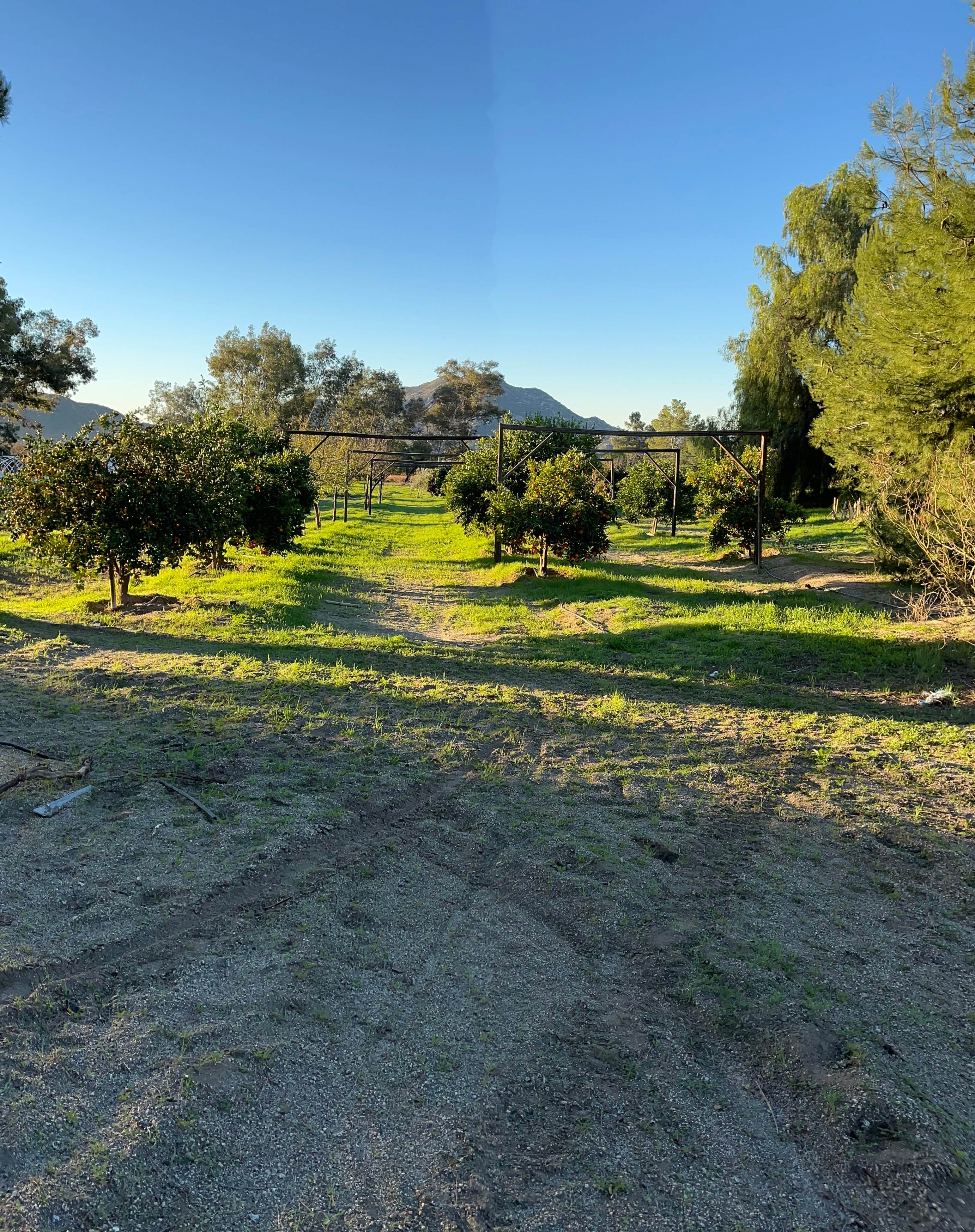 Camping near Thousand Trails Wilderness Lakes RV Resort: Summit Center, Homeland, California