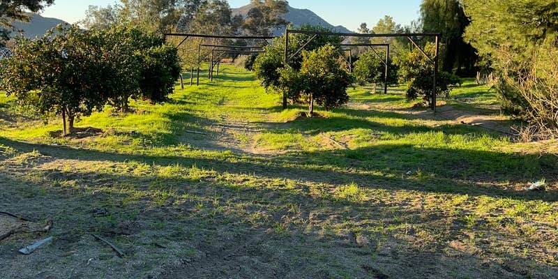 Camper submitted image from Summit Center