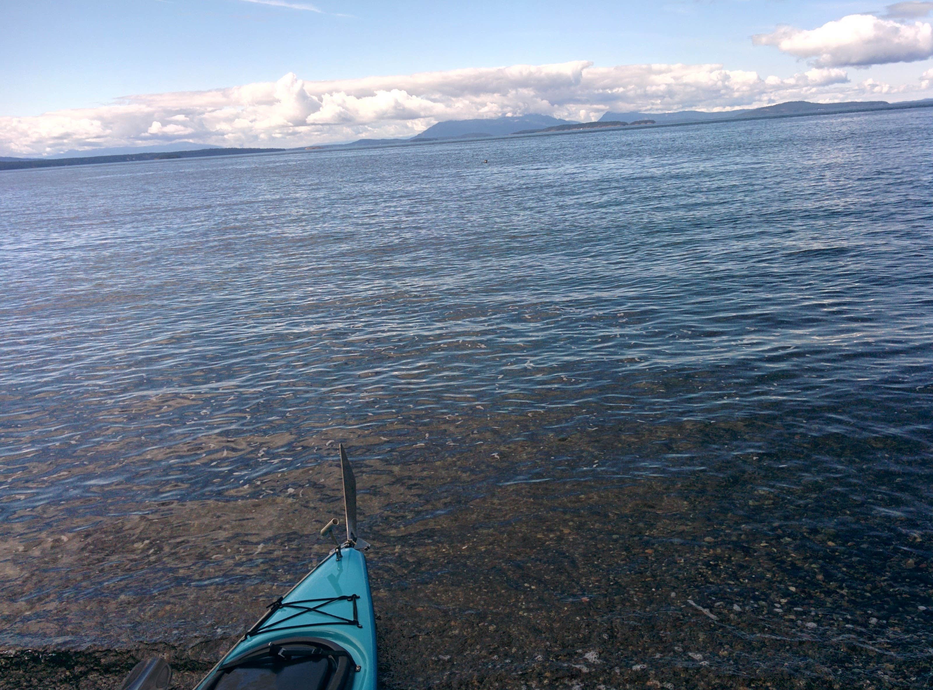 Camper submitted image from San Juan Campground - 5