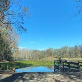 Review photo of Ocklawaha Canoe Outpost & Resort by Maria Mercedes M., January 7, 2026