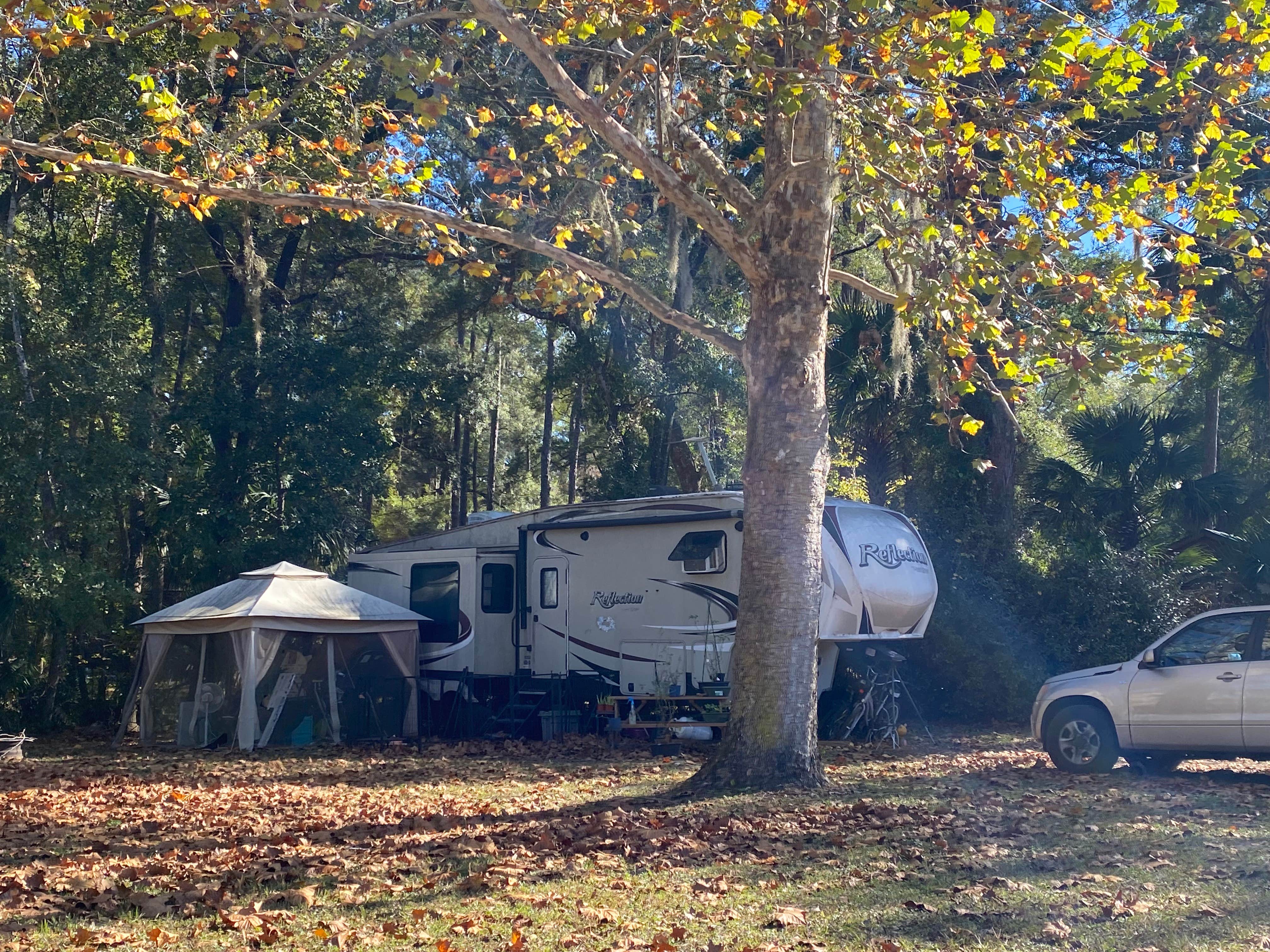 Camper-submitted photo at Ocklawaha Canoe Outpost & Resort near Ocala National Forest
