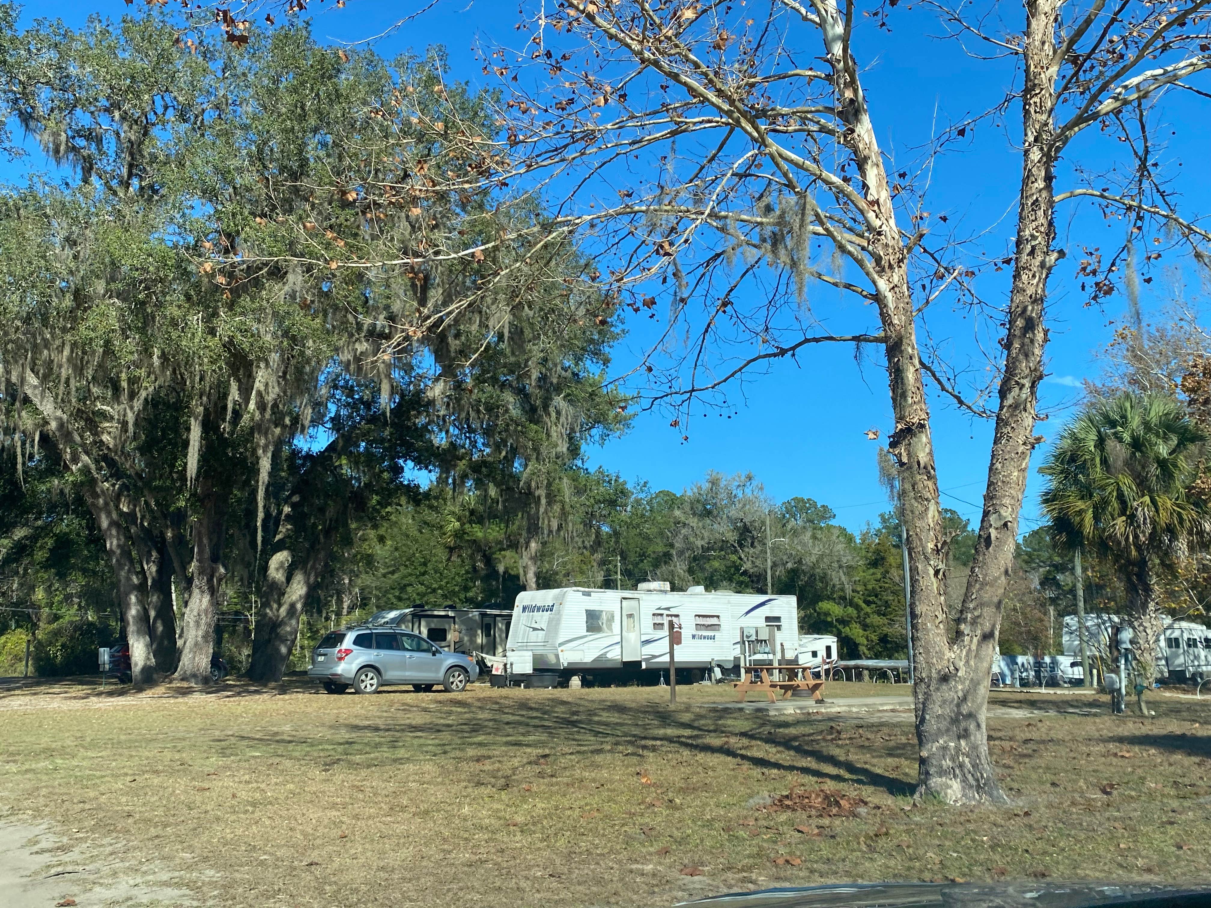 Camper-submitted photo at Ocklawaha Canoe Outpost & Resort near Ocala National Forest