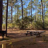 Review photo of Lake Delancy West Campground by Maria Mercedes M., January 7, 2026