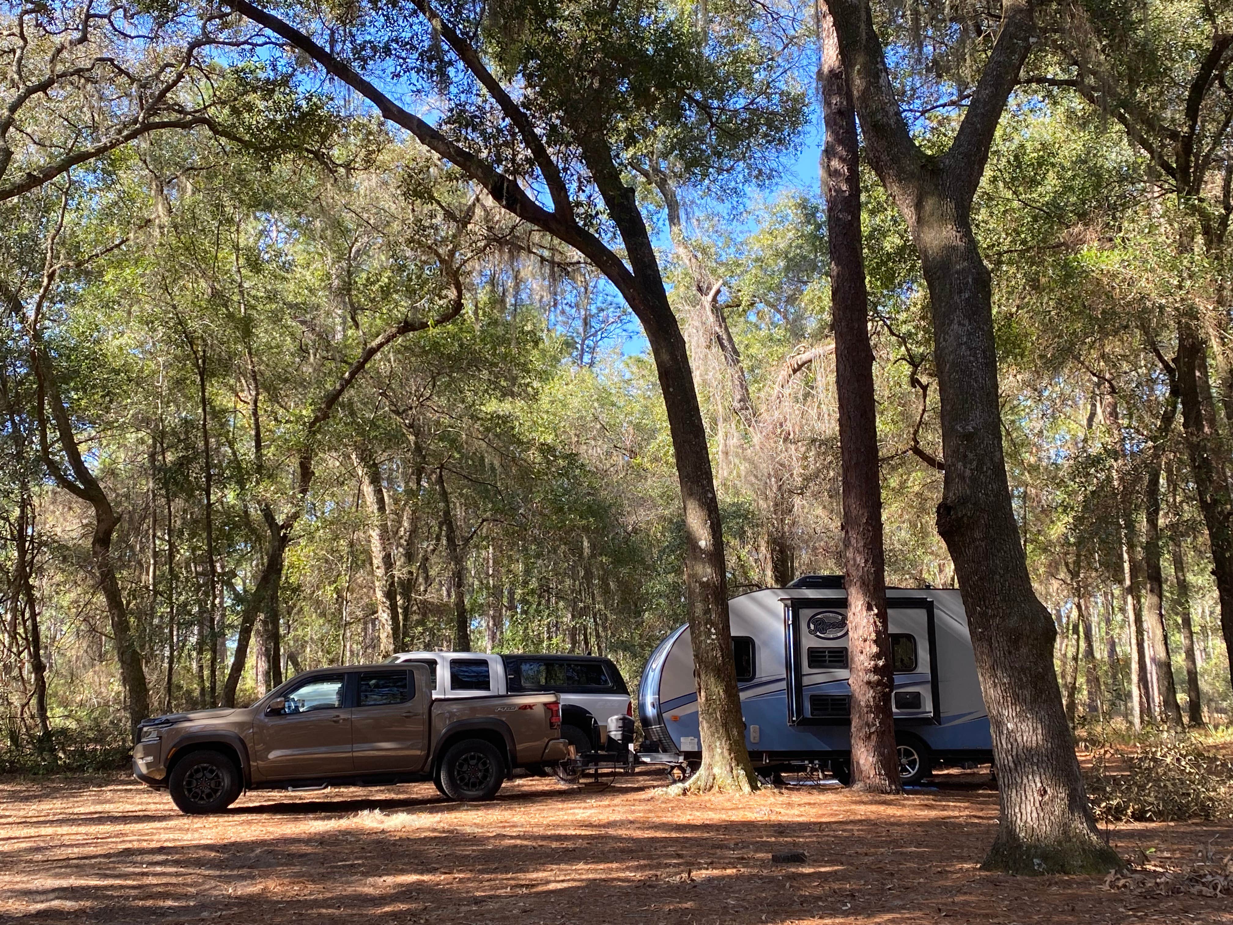 Camper-submitted photo at Lake Delancy West Campground near Ocala National Forest