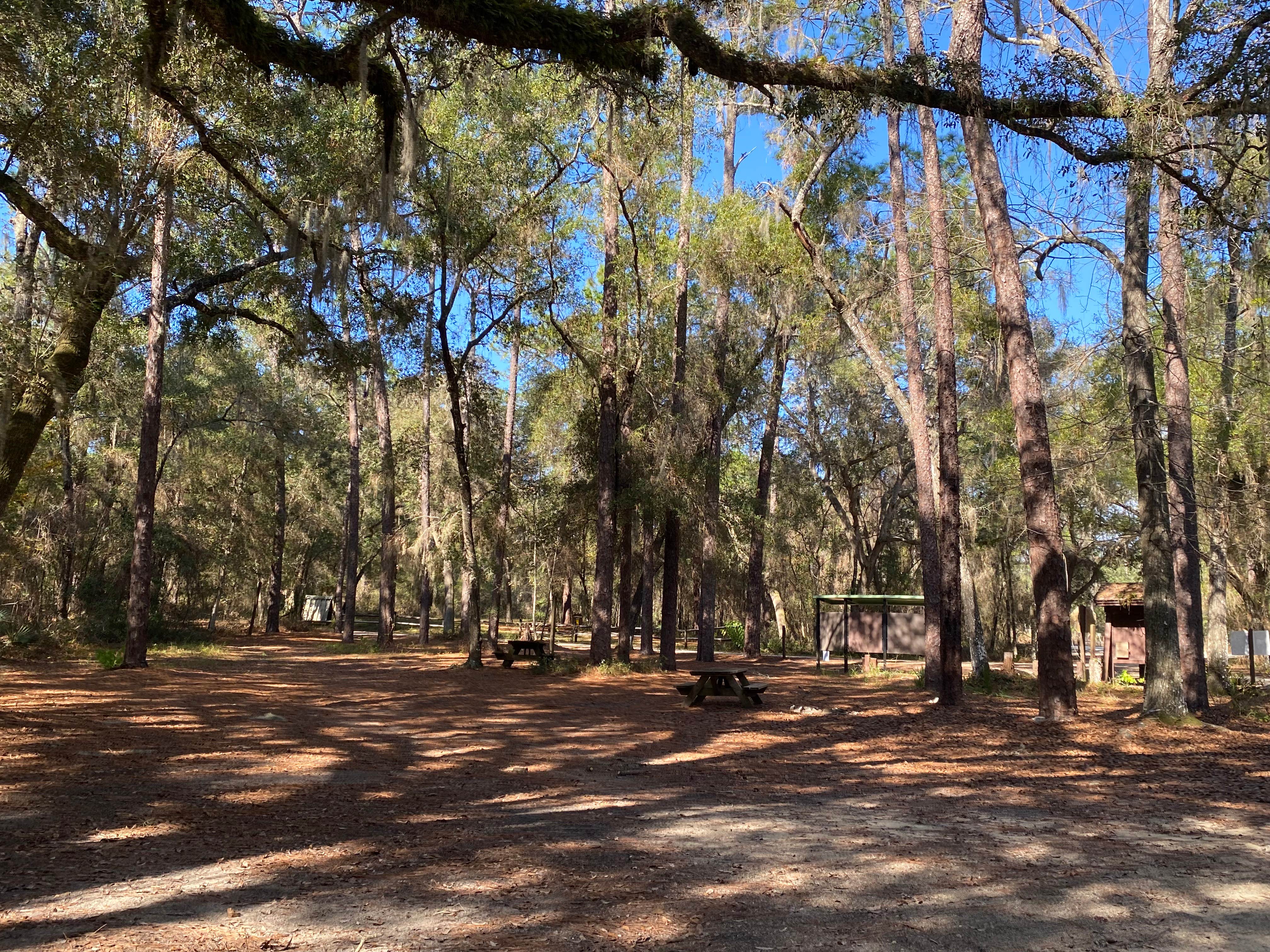 Camper-submitted photo at Lake Delancy West Campground near Ocala National Forest