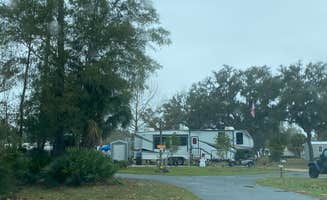 Maria Mercedes M.'s photo of camping with pets at Cedar Key RV Resort near Fanning Springs, FL