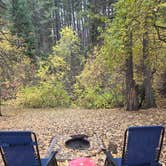 Review photo of Goodenough Creek Campground by Chris R., January 8, 2026