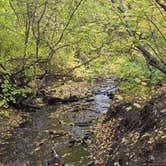 Review photo of Goodenough Creek Campground by Chris R., January 8, 2026