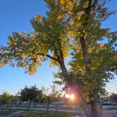 Review photo of Fountain of Youth RV Park by Chris R., January 8, 2026