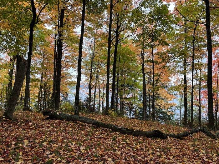 Camper submitted image from Sylvania Wilderness Backcountry Camping - 1