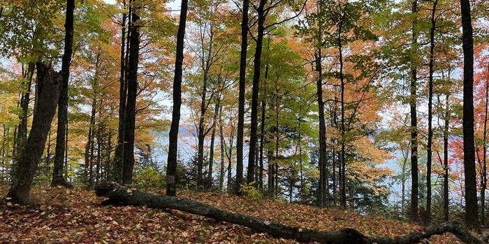 Camper submitted image from Sylvania Wilderness Backcountry Camping