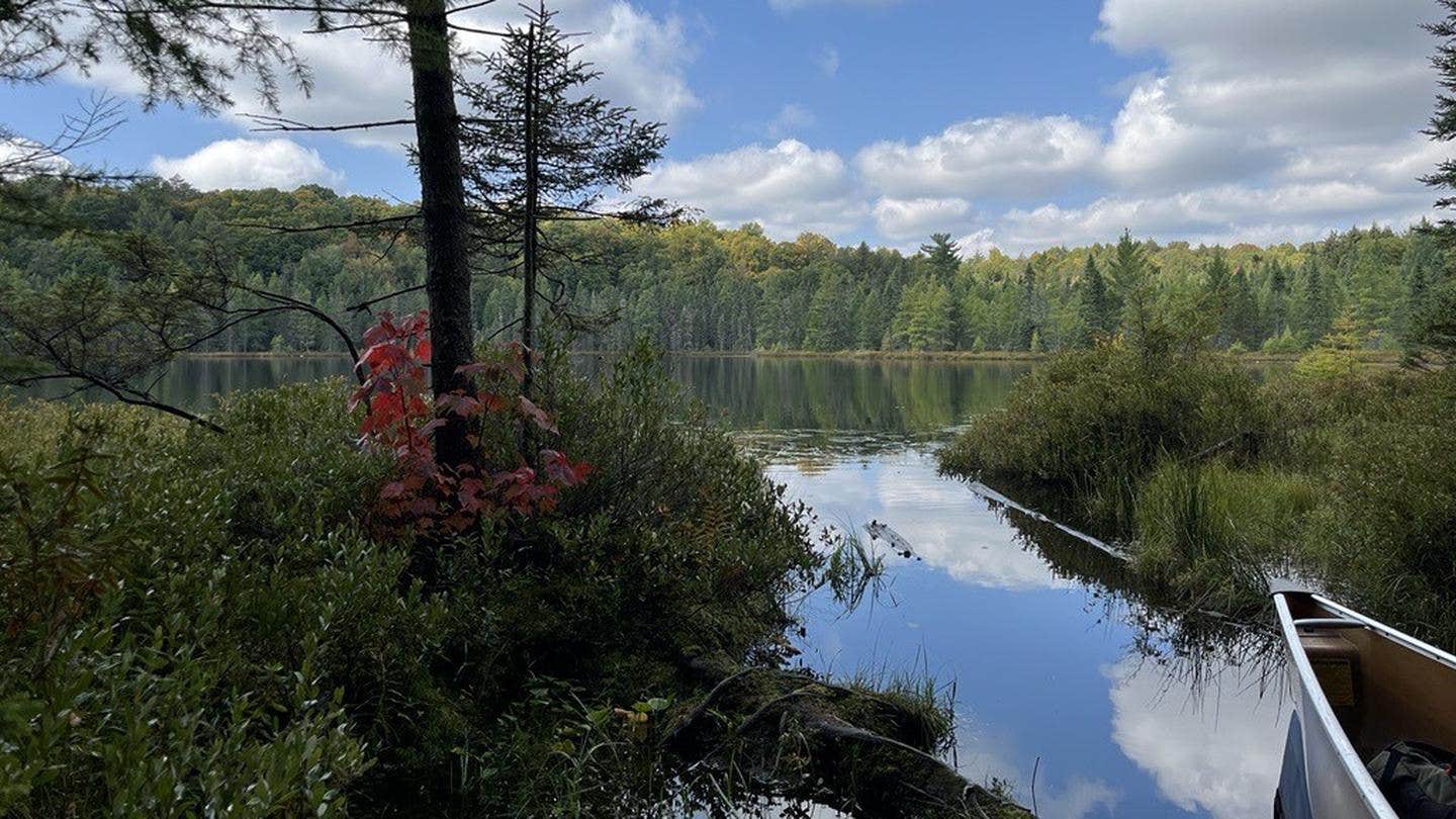 Camper-submitted photo at Sylvania Wilderness Backcountry Camping near Bergland, MI