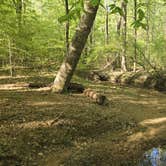 Review photo of Lake Sinclair Campground by Camp With Me , January 8, 2026