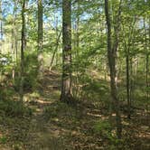 Review photo of Lake Sinclair Campground by Camp With Me , January 8, 2026