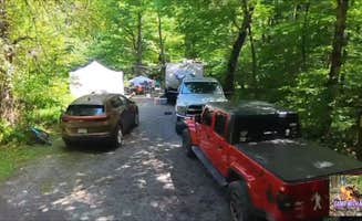 Camp With Me's photo at Tea Creek Campground near Cass, WV