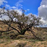 Review photo of Reddington Pass Dispersed by Greg I., January 8, 2026