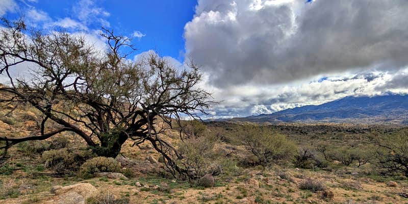 Camper submitted image from Reddington Pass Dispersed