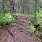 Review photo of Takhlakh Lake Campground by Ana T., September 29, 2016