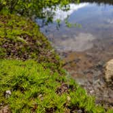 Review photo of Takhlakh Lake Campground by Ana T., September 29, 2016