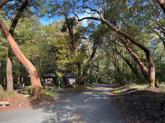 Camper-submitted photo at Boise Creek near Six Rivers National Forest
