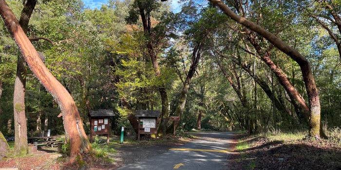 Camper submitted image from Boise Creek