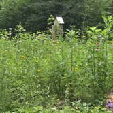 Review photo of Bishop Knob Campground by Camp With Me , January 9, 2026