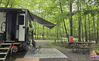 Camp With Me's photo at Bishop Knob Campground near Craigsville, WV