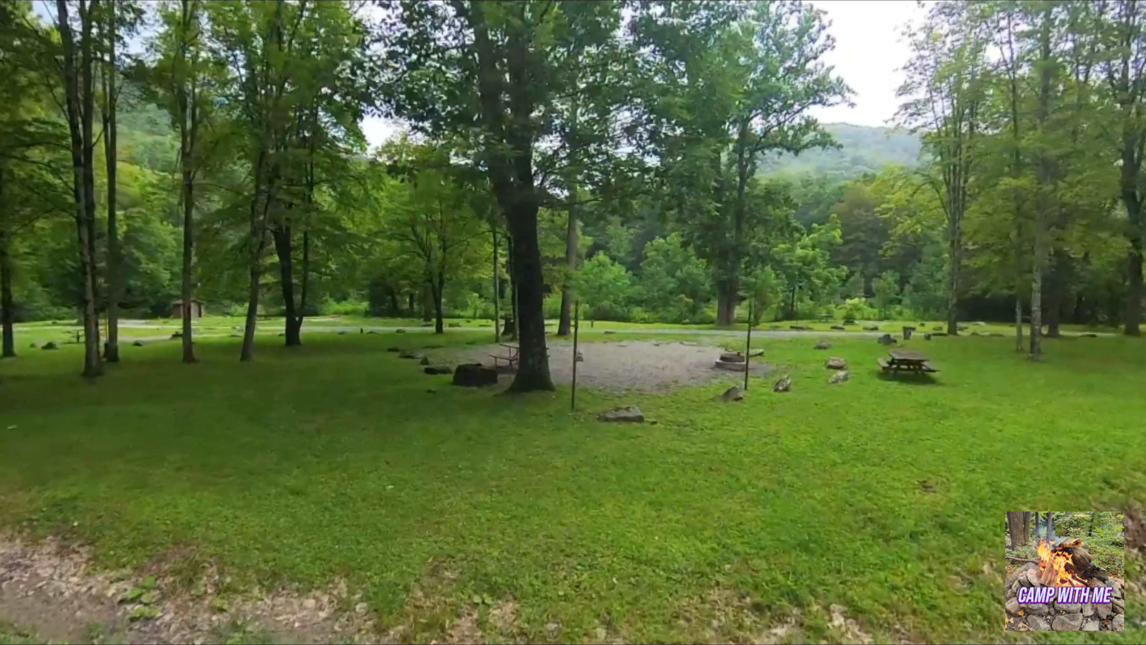 Camper-submitted photo at Cranberry Campground near Camden-on-Gauley, WV