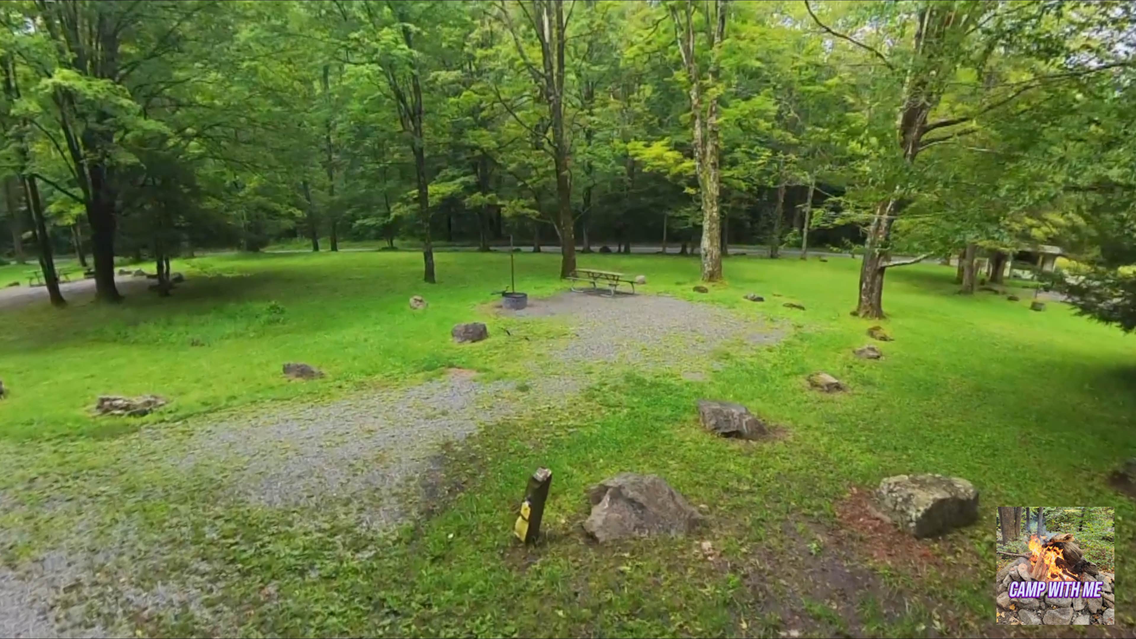Camper-submitted photo at Cranberry Campground near Camden-on-Gauley, WV