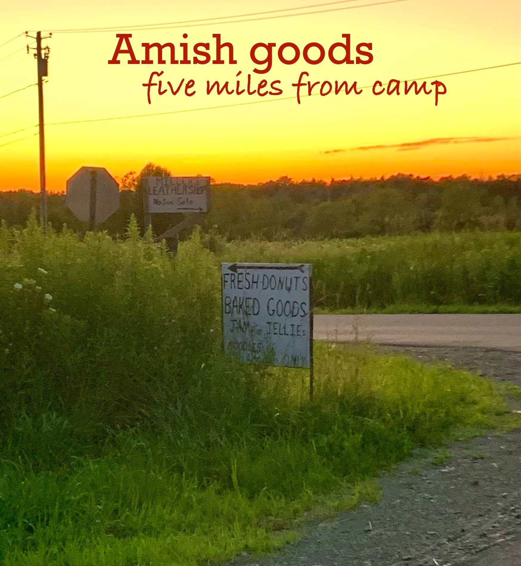 Camper-submitted photo at Creekside Haven RV and Tent Site near Jamestown, NY