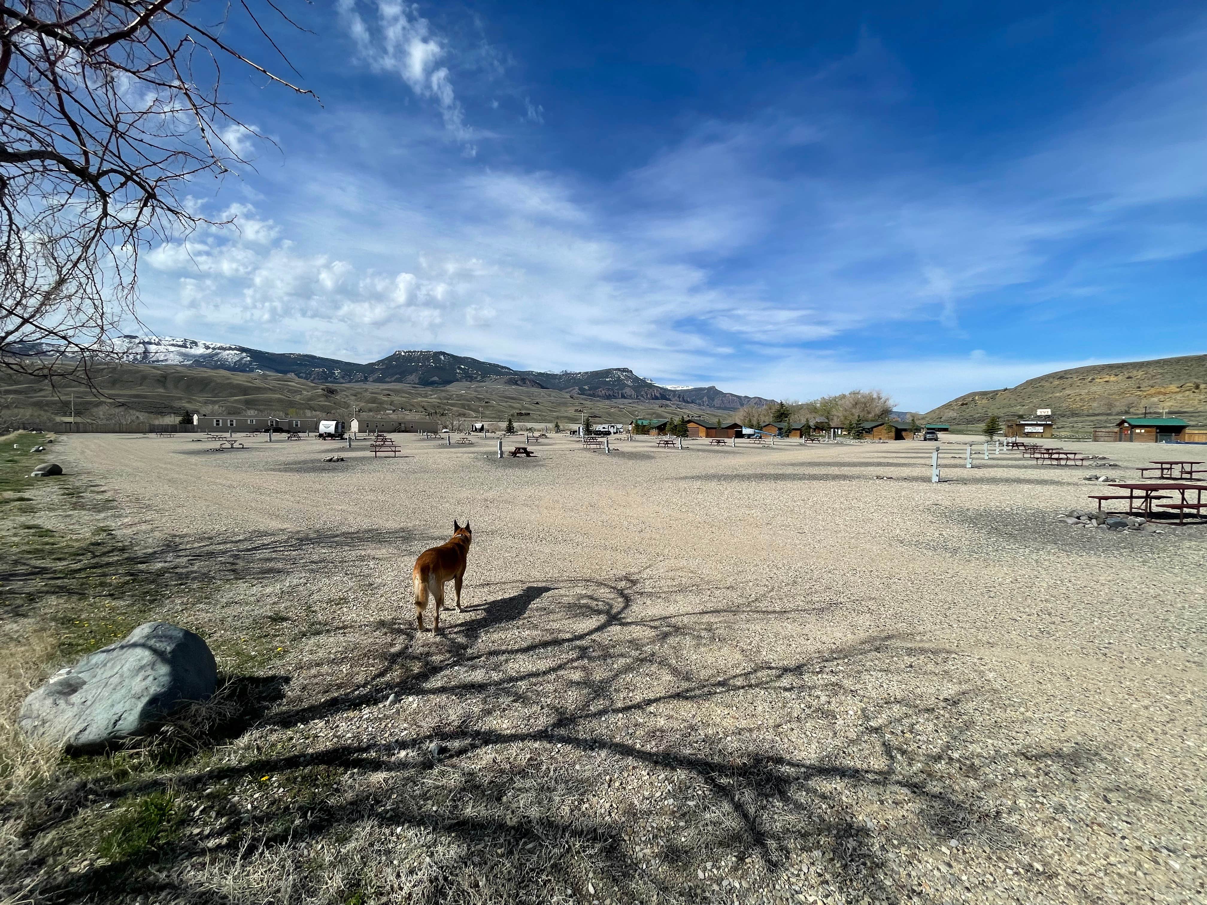 Camper submitted image from Yellowstone Valley Inn & RV - 3