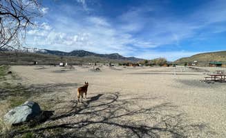 Mike B.'s photo of camping with pets at Yellowstone Valley Inn & RV near Ralston, WY