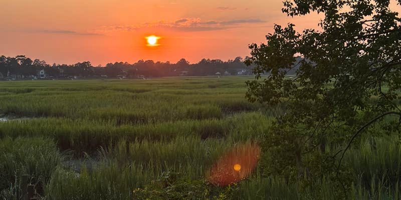 Camper submitted image from Marsh Cove