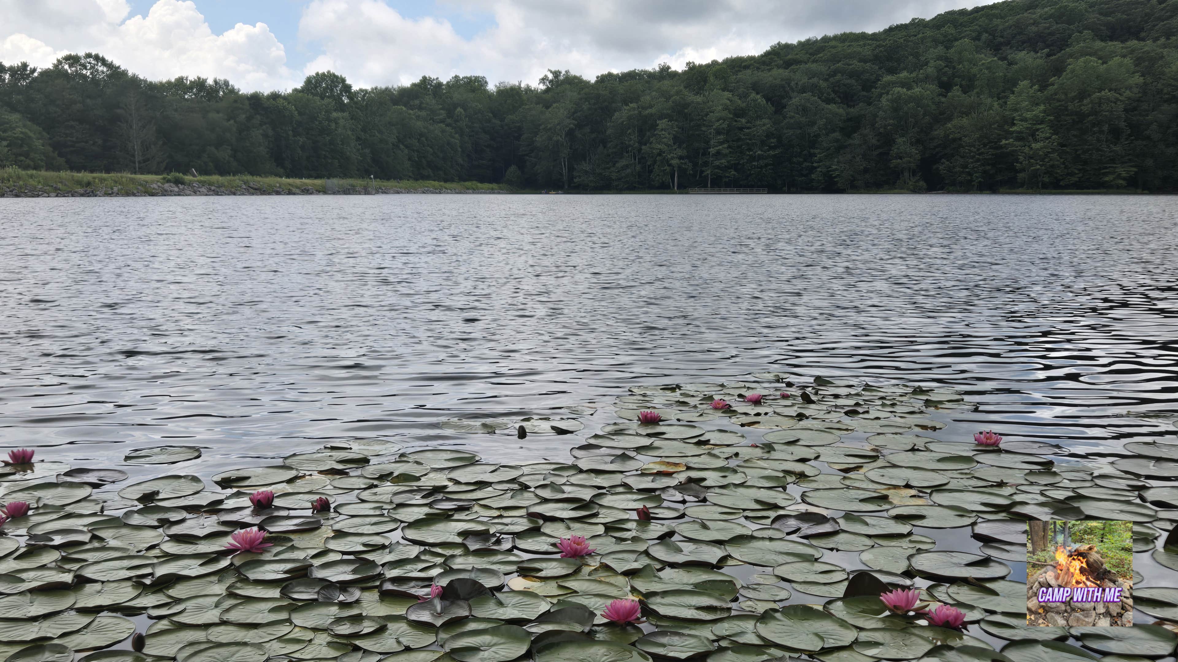 Camper-submitted photo at Summit Lake Campground near Richwood, WV