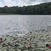 Review photo of Summit Lake Campground by Camp With Me , January 10, 2026