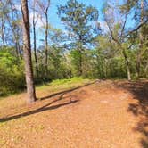Review photo of Hitchcock Lake Campground by Camp With Me , January 10, 2026