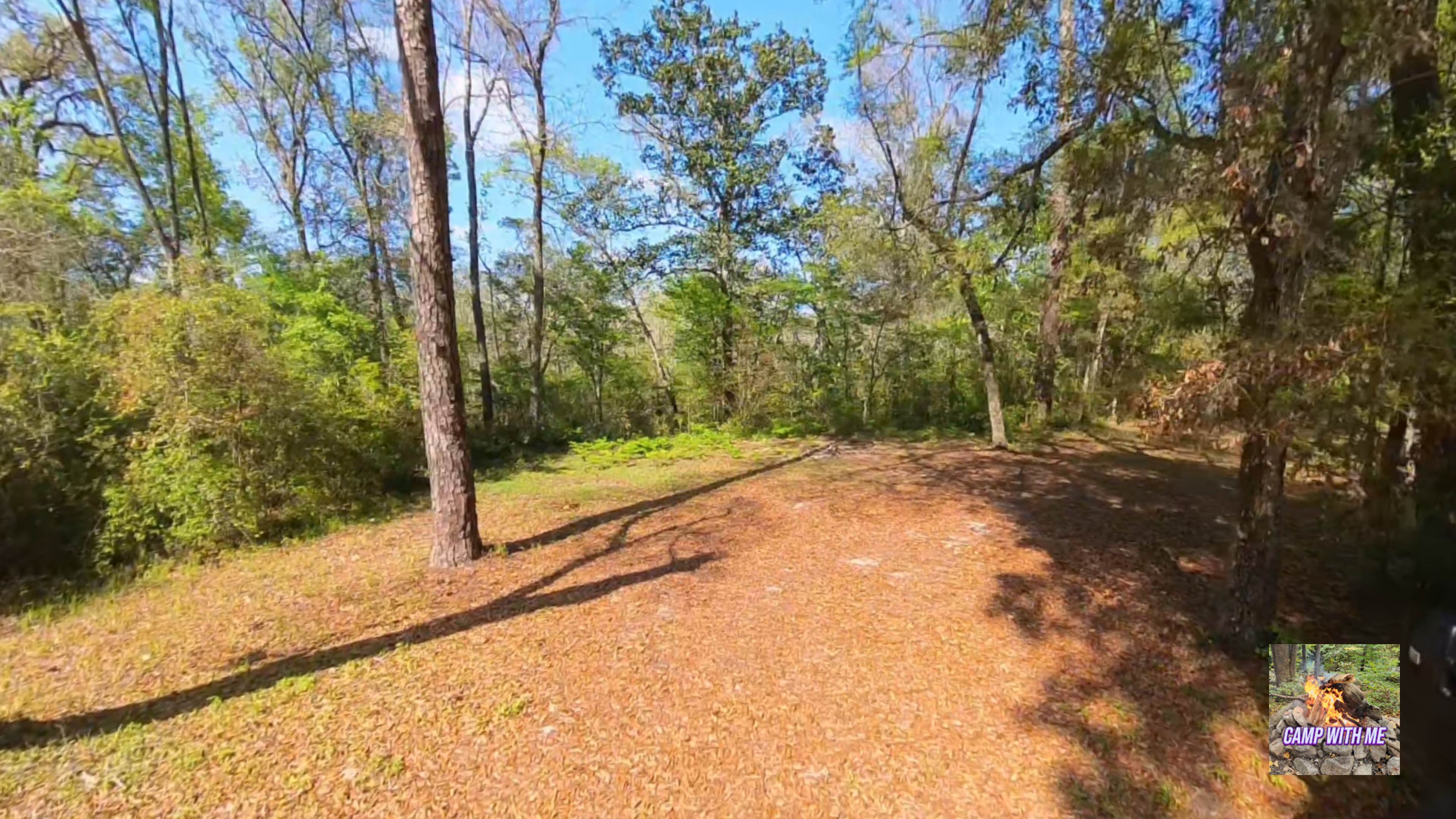 Camper submitted image from Hitchcock Lake Campground - 3