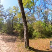 Review photo of Hitchcock Lake Campground by Camp With Me , January 10, 2026