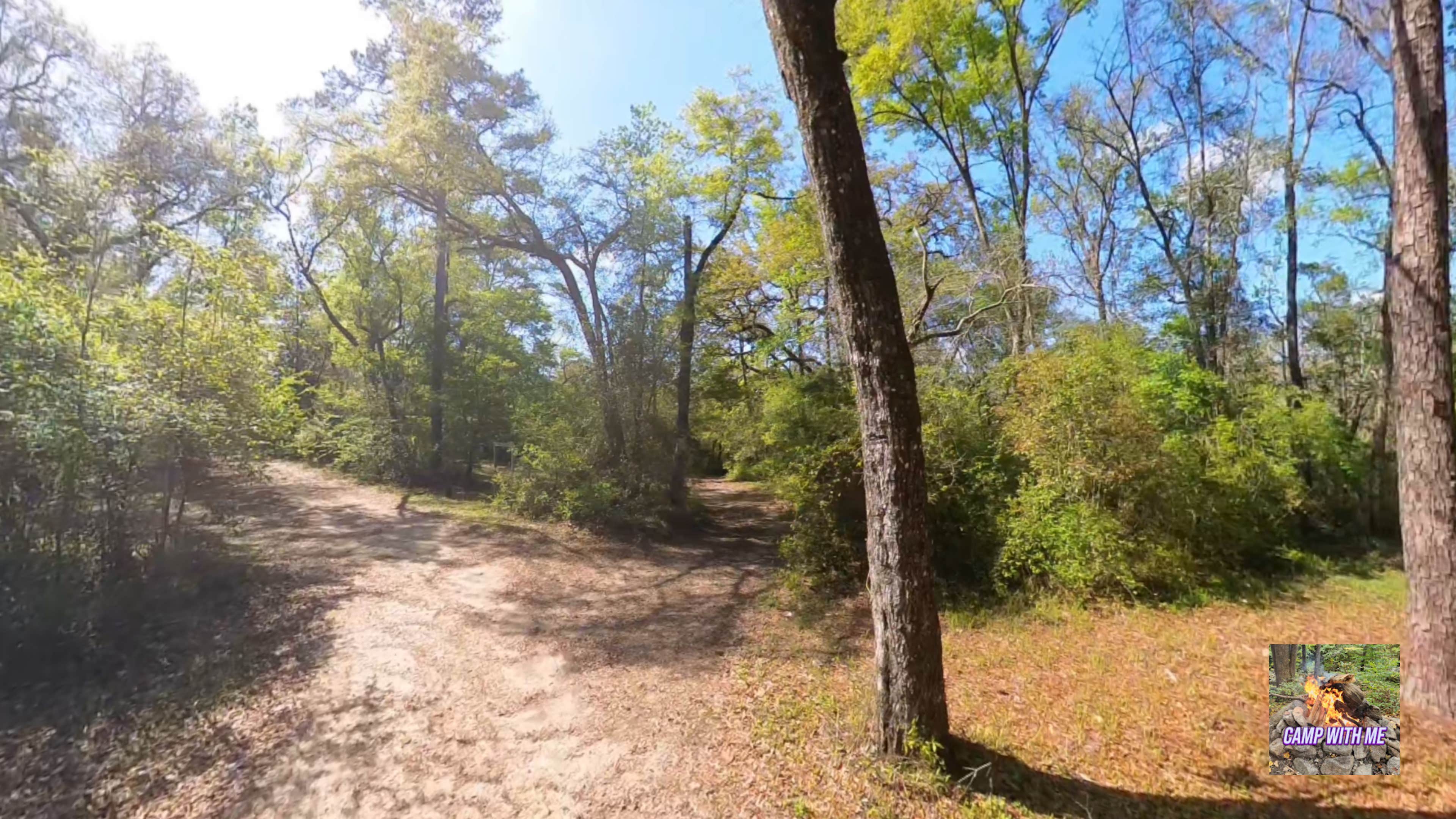 Camper submitted image from Hitchcock Lake Campground - 2