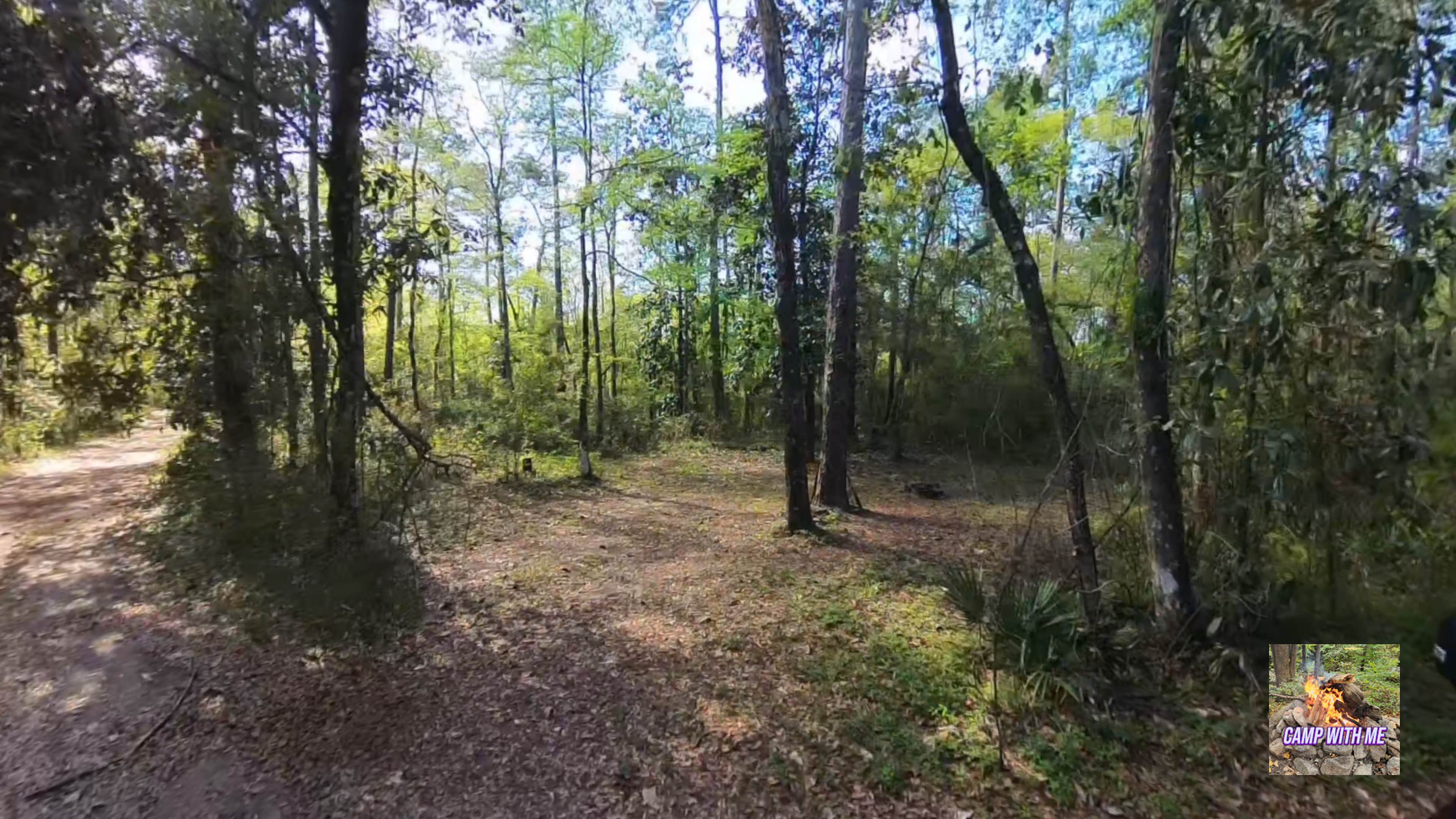Camper-submitted photo at Hitchcock Lake Campground near Carrabelle, FL